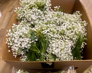 BRAN100-K Baby Breath Bunch