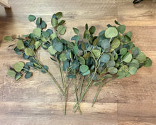 Load image into Gallery viewer, ILLI100-A Eucalyptus Bunch