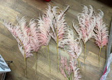 Load image into Gallery viewer, SLONAC-B Pink Pampas Grass