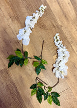 Load image into Gallery viewer, SPAYDE-AB 19 Off-White Cascading Wisteria