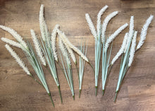 Load image into Gallery viewer, SLONAC-E Short-Stem Wheat Grass