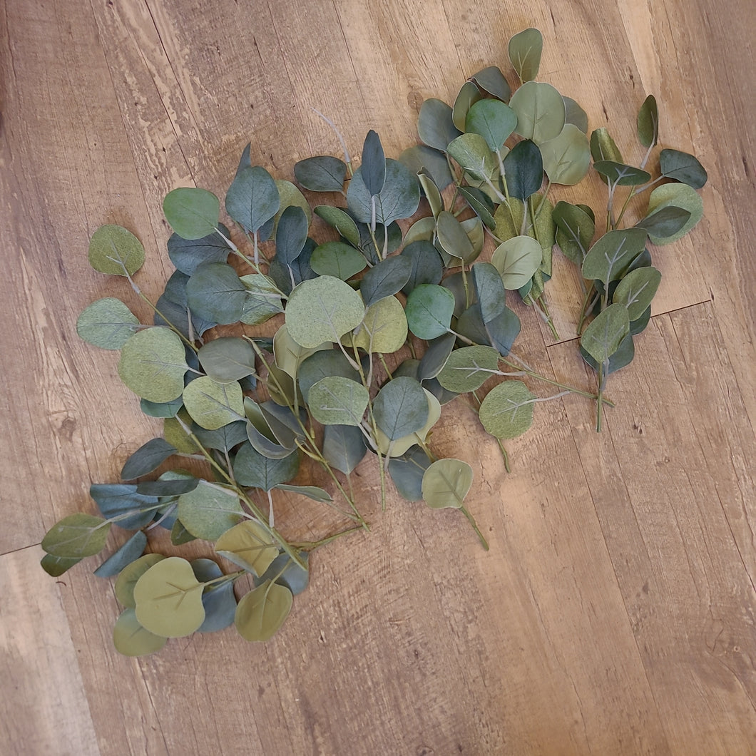 ILLI100-B Assorted Eucalyptus Pieces