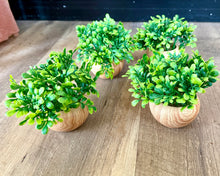 Load image into Gallery viewer, SMEG100-DI Set of 4 Faux Plants
