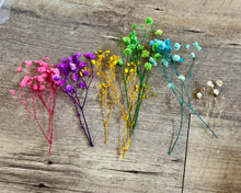 Load image into Gallery viewer, MCCU100-W Colorful, Dried Flowers