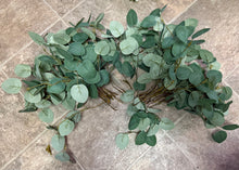 Load image into Gallery viewer, AGER100-H 35 Eucalyptus Picks
