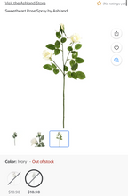 Load image into Gallery viewer, PACIFICO-G Long-Stem Ivory Roses
