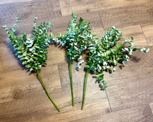 Load image into Gallery viewer, SHIM100-F Set of 3 Foam, Eucalyptus Stems