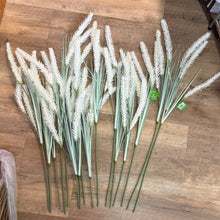 Load image into Gallery viewer, SLONAC-D Long-Stem Wheat Grass