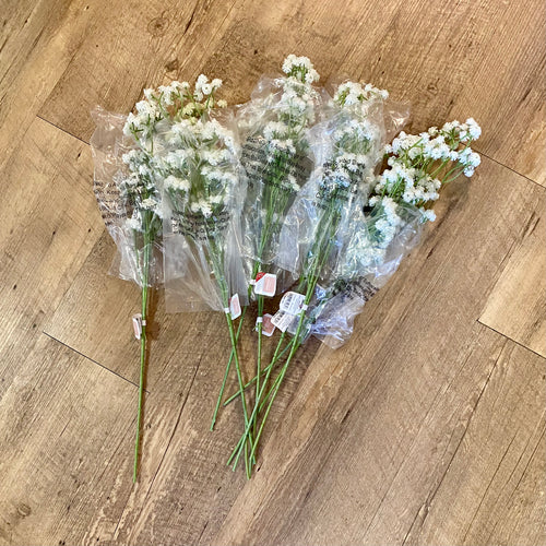 BAKE200-G Baby’s Breath Bundle