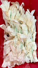 Load image into Gallery viewer, SLONAC-G Blush Pink Lambs-Ear