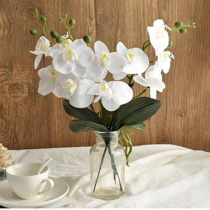 PHIL100-B 24 Orchard Stems