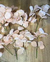 Load image into Gallery viewer, SLONAC-F Pink Eucalyptus Leaves