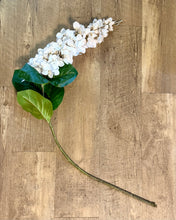 Load image into Gallery viewer, KESS100-E Long-Stem Cream Wisteria