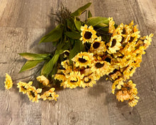 Load image into Gallery viewer, CARP100-R Mini Sunflower Stems