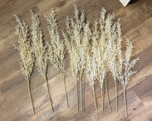 Load image into Gallery viewer, SLONAC-C Ivory Pampas Grass