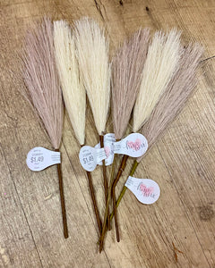 COY100-I 9” Pampas Grass Picks