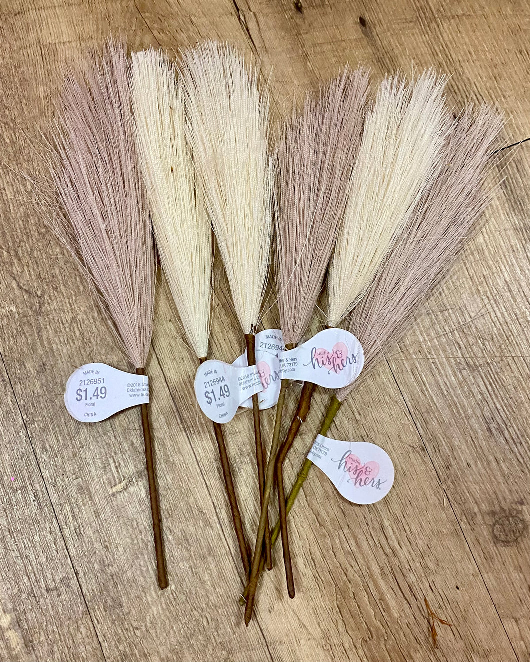 COY100-I 9” Pampas Grass Picks