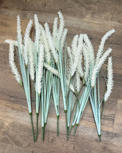 Load image into Gallery viewer, SLONAC-E Short-Stem Wheat Grass
