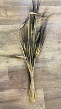 Load image into Gallery viewer, DECK100-E Blackbeard Wheat Bunch