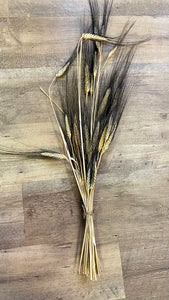 DECK100-E Blackbeard Wheat Bunch