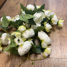 Load image into Gallery viewer, AGER100-F Ivory Peonies- Assorted