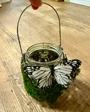 Load image into Gallery viewer, SZEK-O Moss Covered Candle Holder