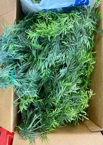 SHIM100-I Bulk Greenery