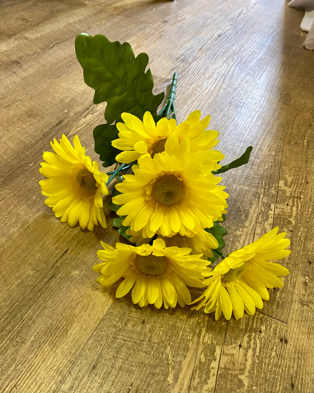 CARP100-T Yellow Gerbera Daisies