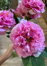 Load image into Gallery viewer, KISS-W Pink Peonies Flower Bush