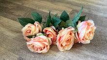 Load image into Gallery viewer, LYNN100-CI Peach Pink Roses