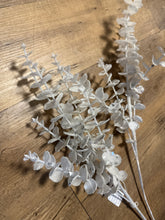 Load image into Gallery viewer, MCAN100-I White Glittery Eucalyptus Picks