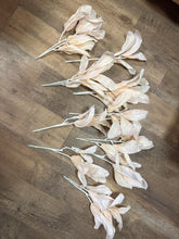Load image into Gallery viewer, SLONAC-G Blush Pink Lambs-Ear