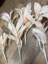 Load image into Gallery viewer, SLONAC-G Blush Pink Lambs-Ear