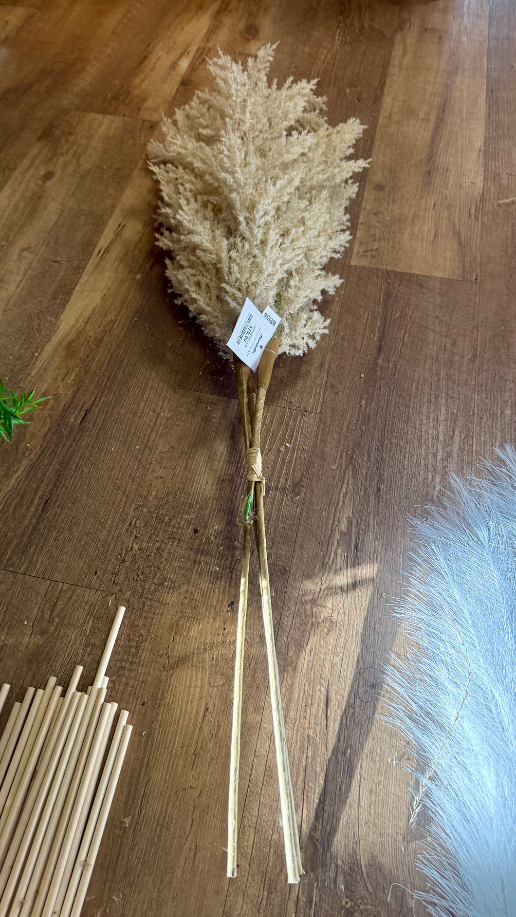 REES100-BN Long-Stem Cream Pampas Grass