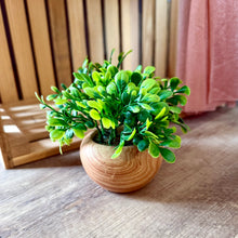 Load image into Gallery viewer, SMEG100-DI Set of 4 Faux Plants