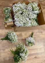 Load image into Gallery viewer, BRAN100-K Baby Breath Bunch