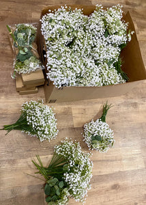 BRAN100-K Baby Breath Bunch