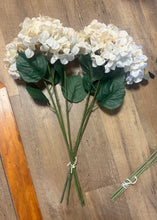 Load image into Gallery viewer, FLIC100-J Cream/Beige Hydrangeas