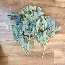 Load image into Gallery viewer, REES100-AX Lambs-Ear Greenery Picks