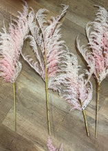 Load image into Gallery viewer, SLONAC-B Pink Pampas Grass