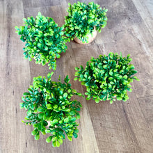 Load image into Gallery viewer, SMEG100-DI Set of 4 Faux Plants