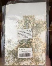 Load image into Gallery viewer, ALTS-N Dried Baby Breath