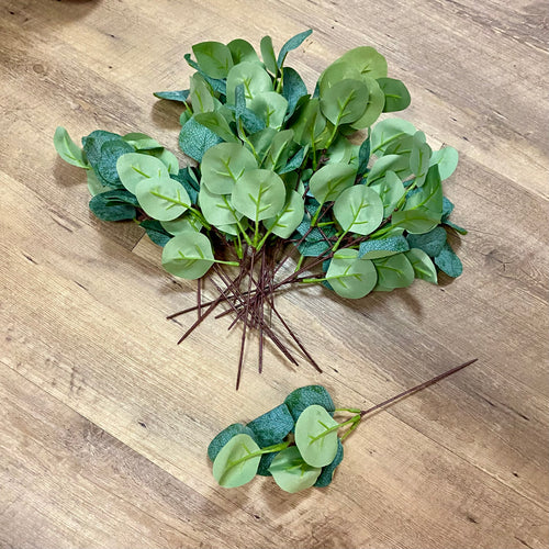 COY100-H Eucalyptus Picks