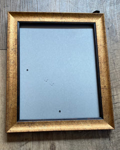 HIPP100-K 8” x 10” Assorted Frames