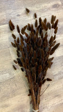 Load image into Gallery viewer, DECK100-D Brown Bunny Tails