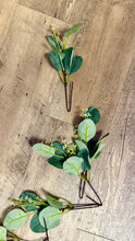 Load image into Gallery viewer, HENZ100-A 11” Eucalyptus Picks