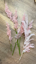 Load image into Gallery viewer, SLONAC-B Pink Pampas Grass
