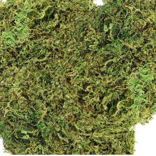 MCCO200-F 35oz. Artificial Moss