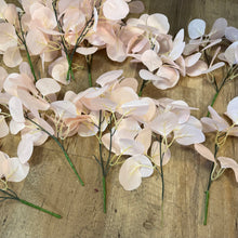 Load image into Gallery viewer, SLONAC-F Pink Eucalyptus Leaves