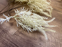 Load image into Gallery viewer, DUNC100-E Ivory, Plastic Floral Filler